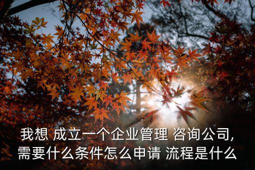 我想 成立一個(gè)企業(yè)管理 咨詢公司,需要什么條件怎么申請(qǐng) 流程是什么