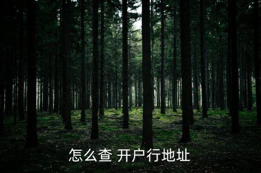 怎么查 開戶行地址