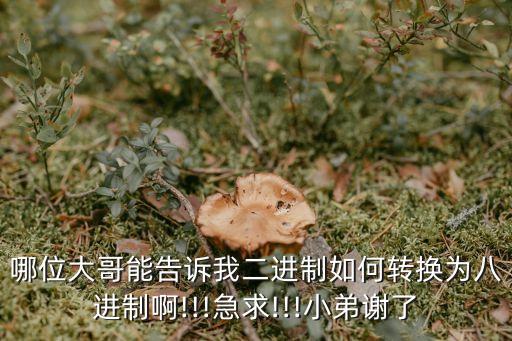 b轉(zhuǎn)a