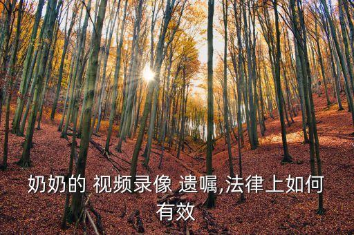 奶奶的 視頻錄像 遺囑,法律上如何有效