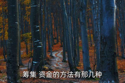 籌措資金,趙某的父親病重急需錢(qián)醫(yī)治趙某為籌措資金