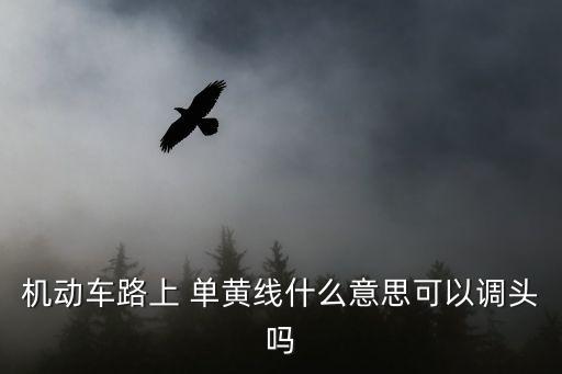 單黃線可以掉頭嗎,紅綠燈路口單黃線可以掉頭嗎