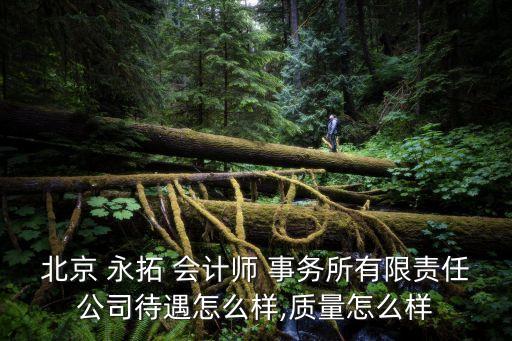 北京 永拓 會(huì)計(jì)師 事務(wù)所有限責(zé)任公司待遇怎么樣,質(zhì)量怎么樣