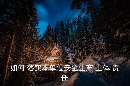 如何 落實本單位安全生產(chǎn) 主體 責(zé)任