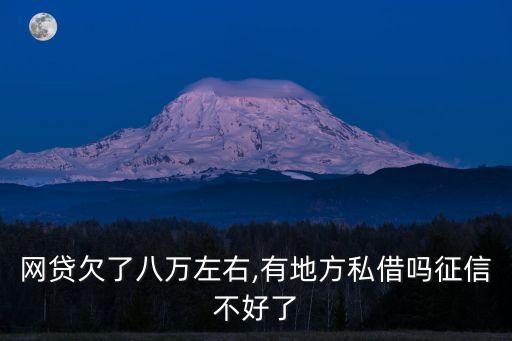 網(wǎng)貸欠了八萬左右,有地方私借嗎征信不好了