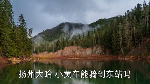 揚(yáng)州大哈 小黃車能騎到東站嗎