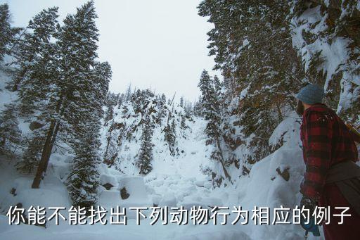 防御行為,動物的攻擊行為和防御行為
