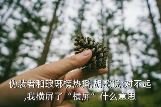 融梗什么意思,玖月晞融梗什么意思