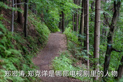 鄭洪濤