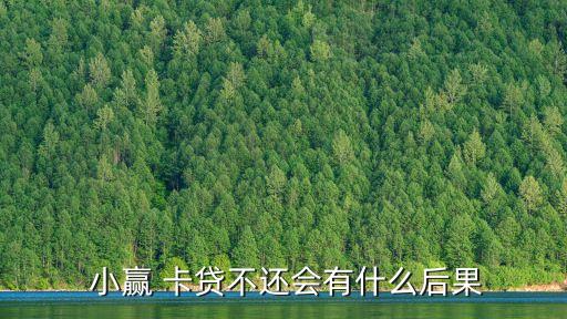 小贏卡貸逾期