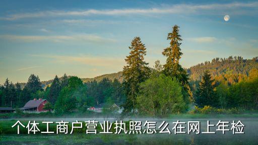 個體工商戶營業(yè)執(zhí)照怎么在網上年檢