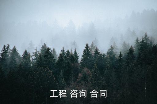 工程 咨詢 合同