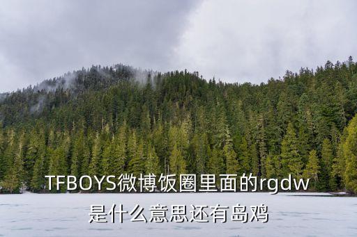 TFBOYS微博飯圈里面的rgdw是什么意思還有島雞