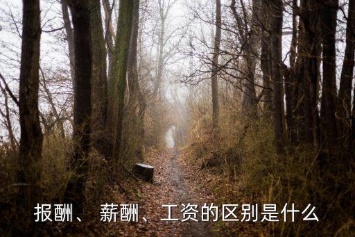 報酬、 薪酬、工資的區(qū)別是什么