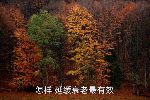 延緩