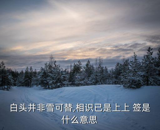 上上簽是什么意思,愛自己才是上上簽是什么意思