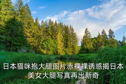 美女裸體網站,動漫美女漫畫