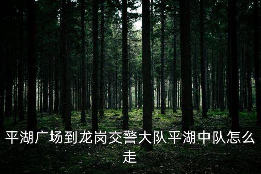 平龍路