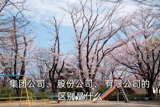 股份有限公司是什么意思,拉卡拉股份有限公司是什么意思
