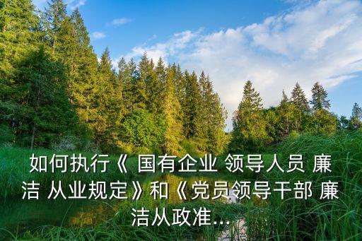 國(guó)有企業(yè)領(lǐng)導(dǎo)人員廉潔從業(yè)若干規(guī)定