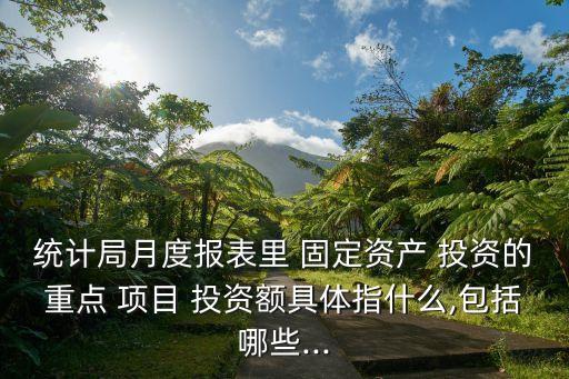 固定資產(chǎn)投資項(xiàng)目