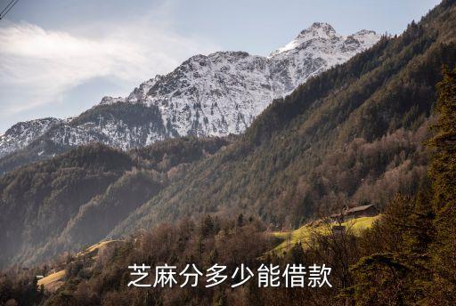 芝麻信用貸款,怎么利用芝麻信用貸款