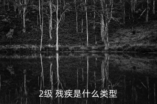 二級(jí)殘疾