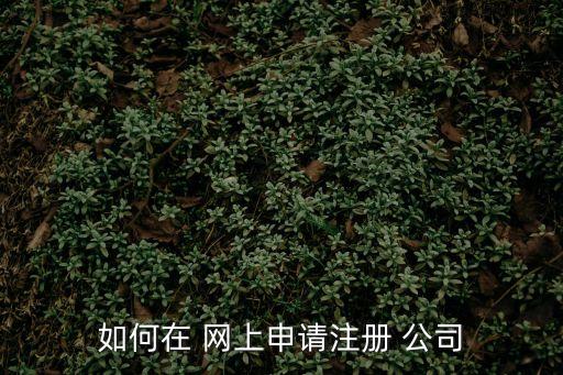 網(wǎng)上怎么注冊(cè)公司,自己在網(wǎng)上怎么注冊(cè)公司
