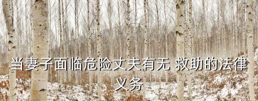 當(dāng)妻子面臨危險(xiǎn)丈夫有無(wú) 救助的法律義務(wù)