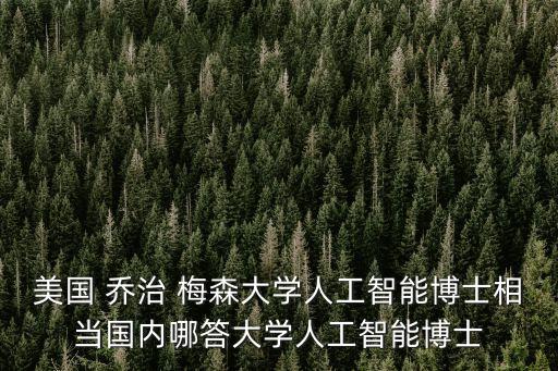 美國(guó) 喬治 梅森大學(xué)人工智能博士相當(dāng)國(guó)內(nèi)哪答大學(xué)人工智能博士