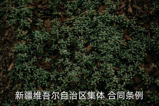 新疆維吾爾自治區(qū)集體 合同條例