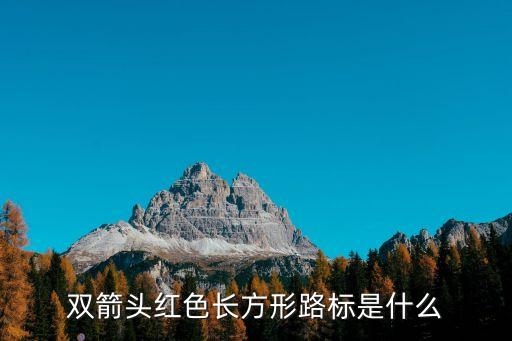 雙箭頭紅色長(zhǎng)方形路標(biāo)是什么