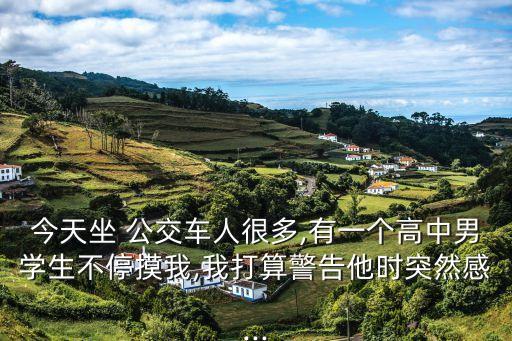 公交車上被摸出水,把跳d放在里面坐公交車作文