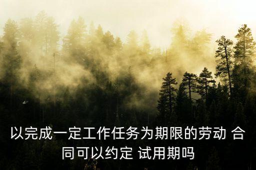 以完成一定工作任務(wù)為期限的勞動(dòng) 合同可以約定 試用期嗎