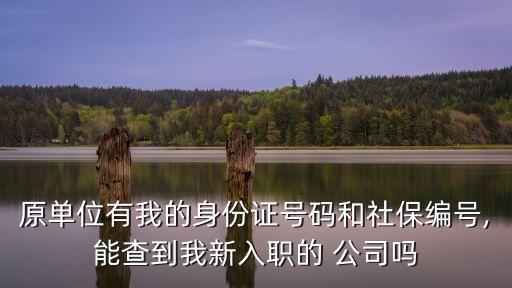 原單位有我的身份證號(hào)碼和社保編號(hào),能查到我新入職的 公司嗎