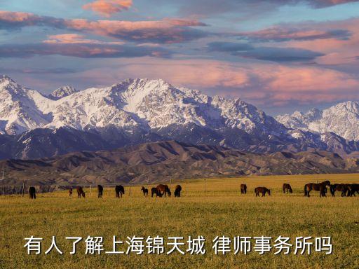 有人了解上海錦天城 律師事務(wù)所嗎