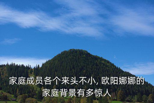 家庭成員各個來頭不小, 歐陽娜娜的家庭背景有多驚人
