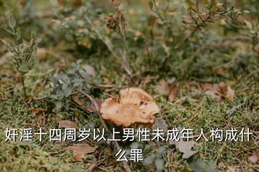 成人淫淫