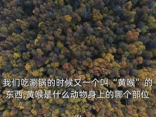 重慶空放