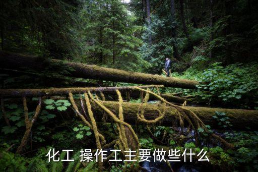 操作工的崗位職責(zé),儀表操作工的崗位職責(zé)