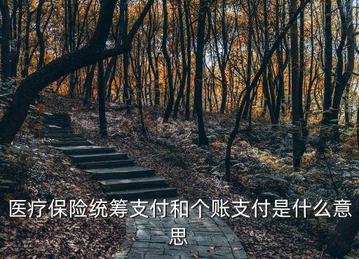 醫(yī)保個賬