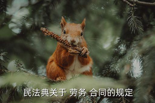 勞務(wù)合同民法典法律條文,民法典關(guān)于相鄰關(guān)系的相關(guān)法律條文
