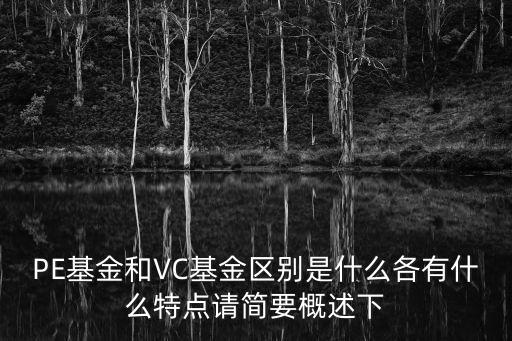PE基金和VC基金區(qū)別是什么各有什么特點(diǎn)請(qǐng)簡(jiǎn)要概述下