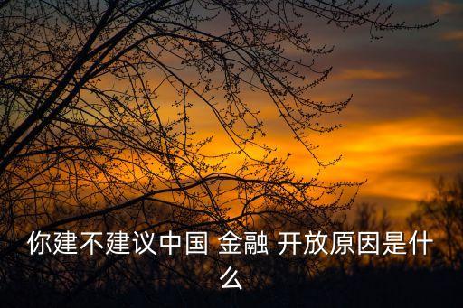 你建不建議中國 金融 開放原因是什么