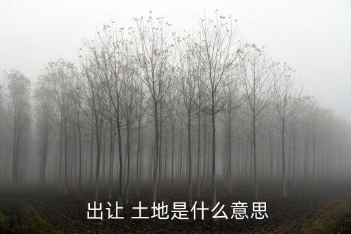 土地出讓