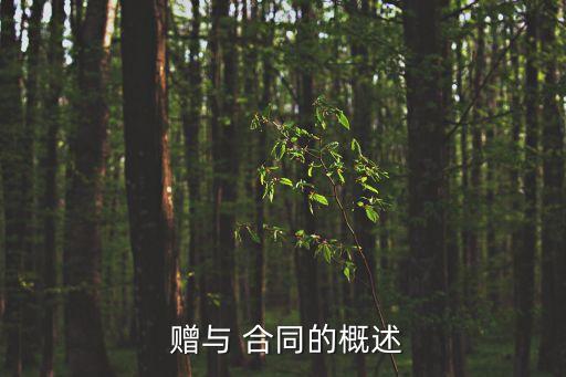 什么是贈(zèng)與合同及法律特征