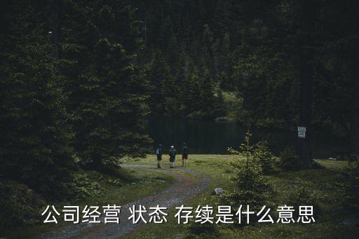 公司經(jīng)營(yíng) 狀態(tài) 存續(xù)是什么意思