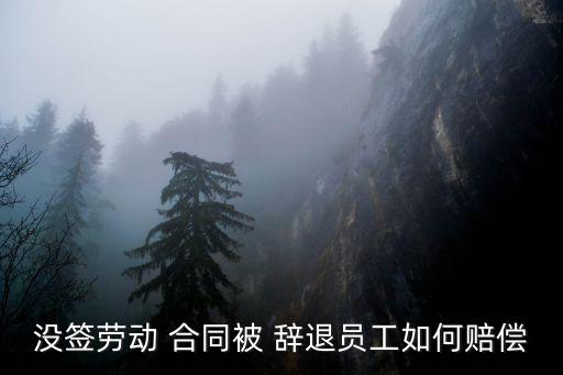 沒有簽合同被辭退有補(bǔ)償嗎,沒有合同的員工被辭退怎么補(bǔ)償