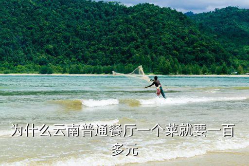 為什么云南普通餐廳一個菜就要一百 多元