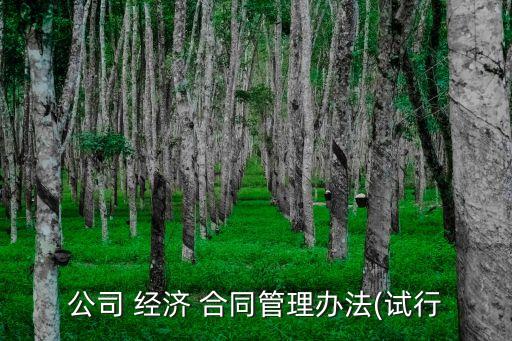 公司 經(jīng)濟(jì) 合同管理辦法(試行